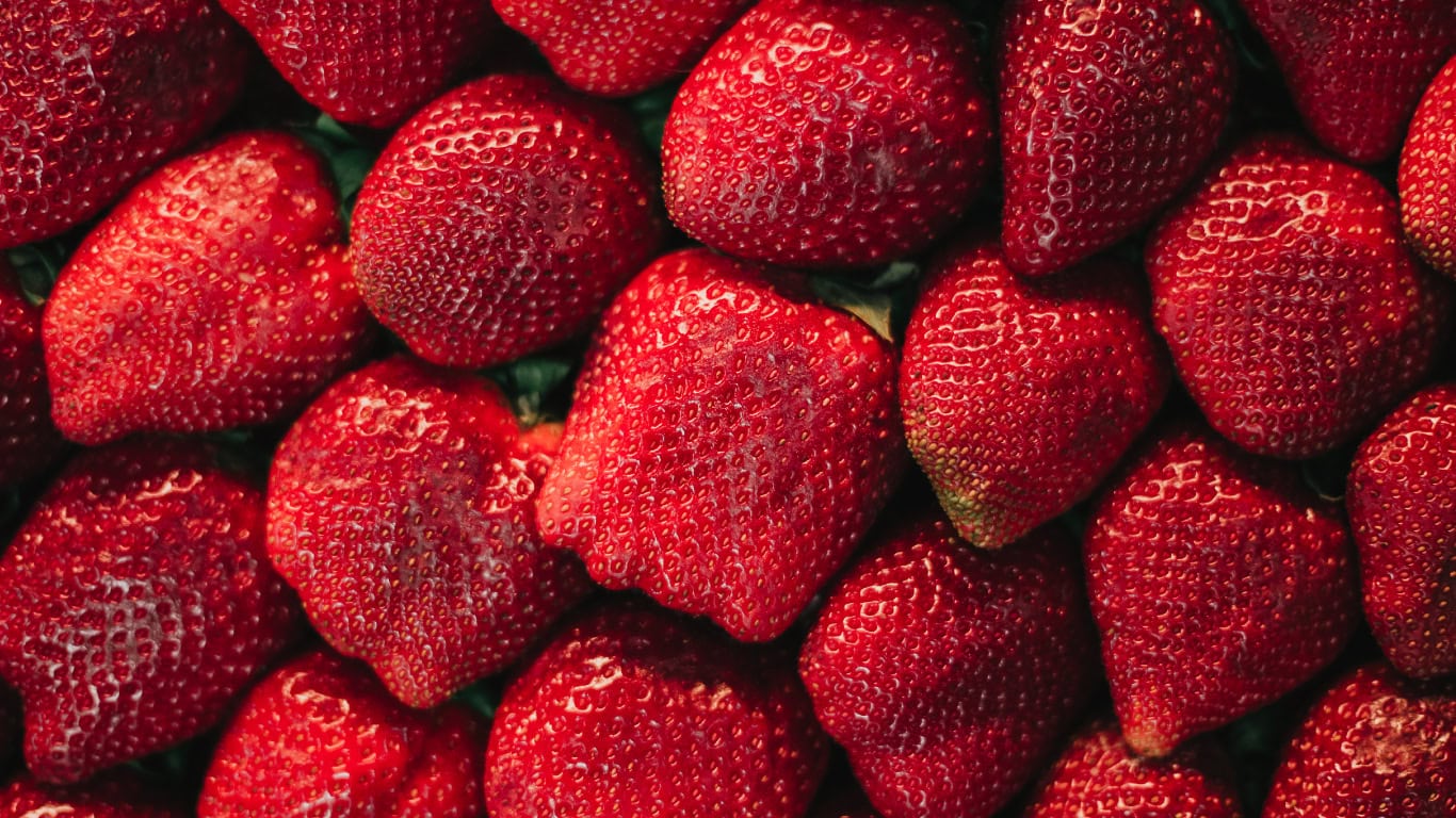 El-fresón-de-Aranjuez