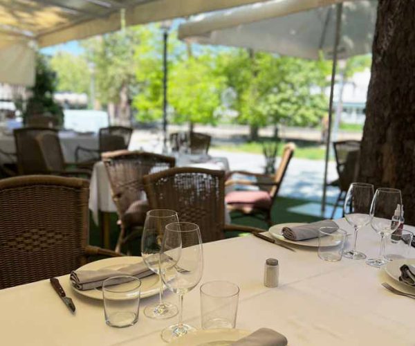 El-Corral-de-la-Abuela_arbol-terraza